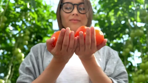 Free Stock Video Woman Smelling Fresh Tomatoes In A Greenhouse Live Wallpaper - Free Live Wallpaper