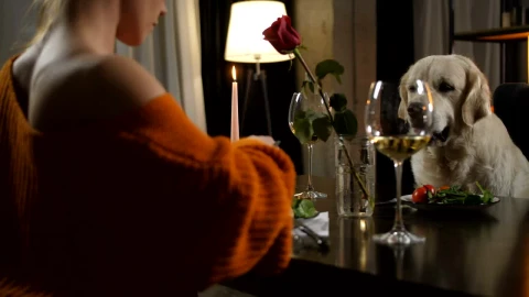 Free Stock Video Woman Sharing Her Meal With Her Dog Live Wallpaper - Free Live Wallpaper