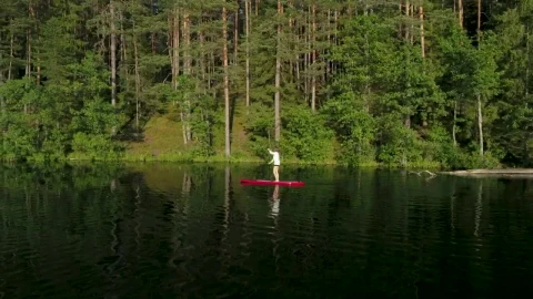 Free Stock Video Woman Sailing On A Red Paddleboard In The Forest Live Wallpaper - Free Live Wallpaper