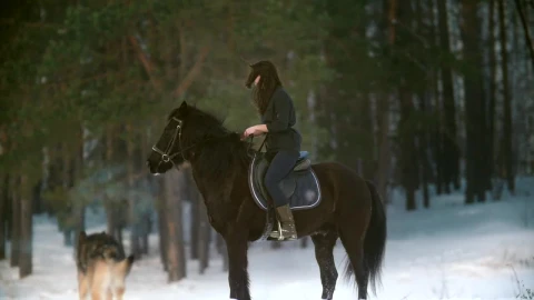 Free Stock Video Woman Riding A Horse In A Snowy Forest Live Wallpaper - Free Live Wallpaper