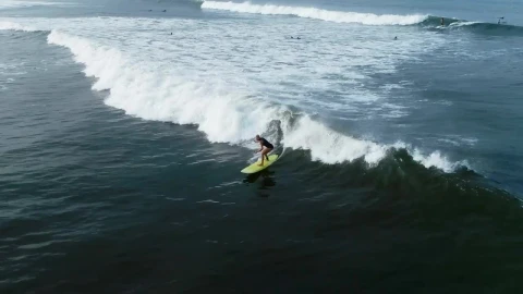 Free Stock Video Woman Practicing Surf Aerial Full Shot Live Wallpaper - Free Live Wallpaper