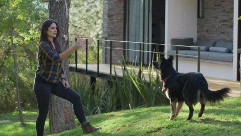 Free Stock Video Woman Playing With A Dog In A Garden Live Wallpaper - Free Live Wallpaper