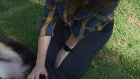 Free Stock Video Woman Petting Her Dog On The Lawn Live Wallpaper - Free Live Wallpaper