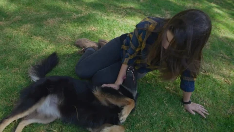 Free Stock Video Woman Petting Her Dog On The Grass Live Wallpaper - Free Live Wallpaper
