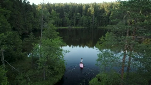 Free Stock Video Woman On A Paddleboard In The Lake Live Wallpaper - Free Live Wallpaper