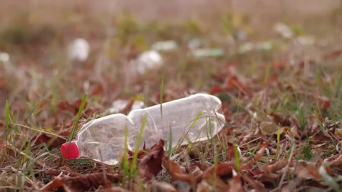 Free Stock Video Woman Lifts An Empty Bottle Off The Ground Live Wallpaper - Free Live Wallpaper