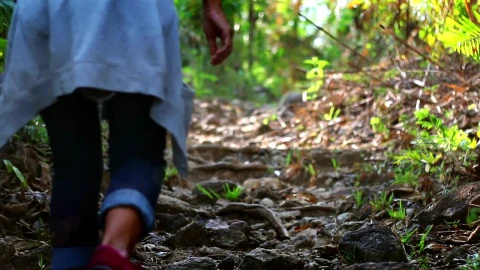 Free Stock Video Woman Climbing A Hill In The Forest Live Wallpaper - Free Live Wallpaper