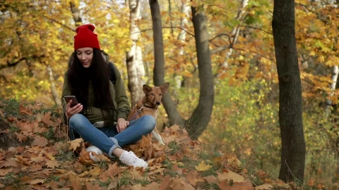 Free Stock Video Woman Checking Her Phone While Walking Her Dog Live Wallpaper - Free Live Wallpaper