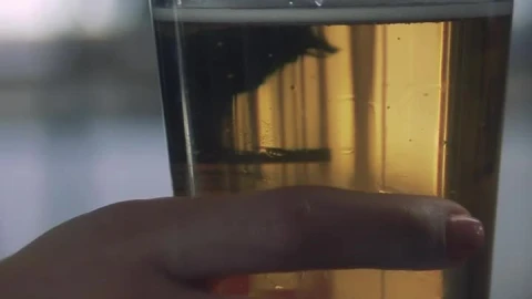 Free Stock Video Woman And Her Glass Of Beer Live Wallpaper - Free Live Wallpaper