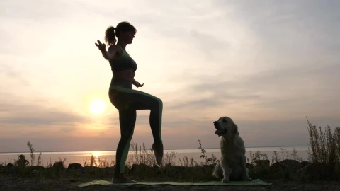 Free Stock Video Woman And Her Dog Doing Yoga In Front Of The Live Wallpaper - Free Live Wallpaper