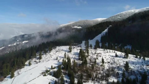 Free Stock Video Winter Snow Trees Covering Mountains Live Wallpaper - Free Live Wallpaper