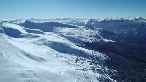 Free Stock Video Winter Nature At A Sunny Day Live Wallpaper - Free Live Wallpaper