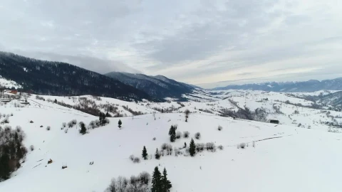 Free Stock Video Winter Forest In Ukranie Live Wallpaper - Free Live Wallpaper