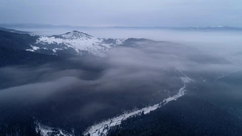 Free Stock Video Winter Forest During Sunrise Aerial View Live Wallpaper - Free Live Wallpaper