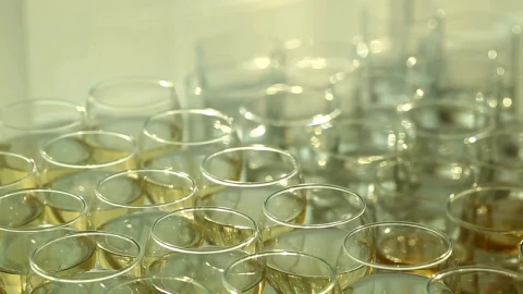 Free Stock Video Wine Glasses With Champagne Live Wallpaper - Free Live Wallpaper