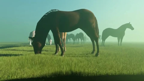 Free Stock Video Wild Horses In A Meadow Live Wallpaper - Free Live Wallpaper