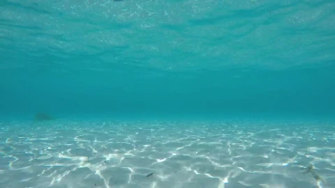 Free Stock Video White Sand Below The Surface Live Wallpaper - Free Live Wallpaper