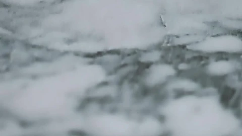 Free Stock Video White Marble Surface With Gray Live Wallpaper - Free Live Wallpaper