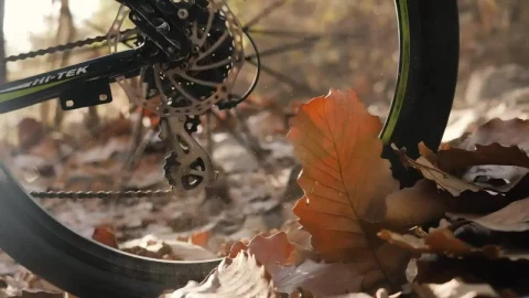 Free Stock Video Wheel Of A Bicycle Riding Fast On Dry Leaves Live Wallpaper - Free Live Wallpaper