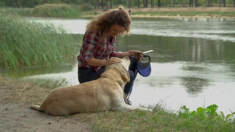 Stock Footage Woman And Her Dog Spending Time Together Live Wallpaper - Free Live Wallpaper