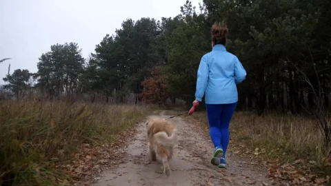 Stock Footage Woman And Her Dog Running Down A Path Live Wallpaper - Free Live Wallpaper