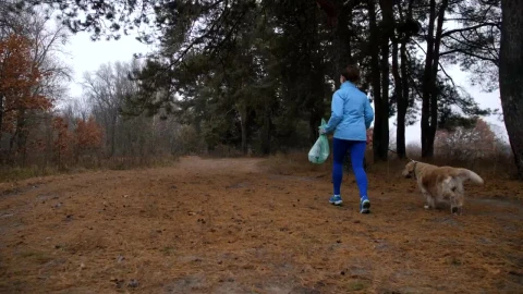 Stock Footage Woman And Her Dog Cleaning Woodland Live Wallpaper - Free Live Wallpaper