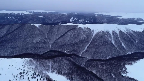 Stock Footage Winter Mountains With Lots Of Vegetation Live Wallpaper - Free Live Wallpaper
