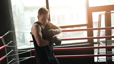 Stock Footage Winner Prepares For Boxing Match In Ring Live Wallpaper - Free Live Wallpaper