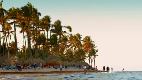 Stock Footage Windswept Trees On An Island Live Wallpaper - Free Live Wallpaper