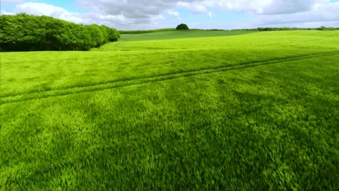 Stock Footage Windswept Grasslands Live Wallpaper - Free Live Wallpaper