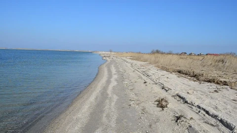 Stock Footage Windswept Coastline Live Wallpaper - Free Live Wallpaper