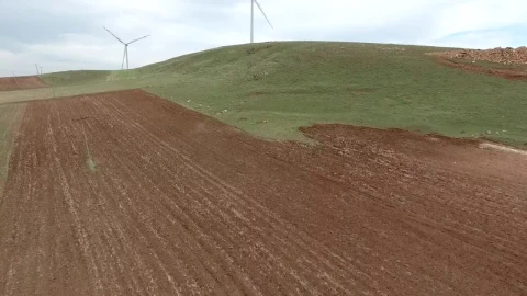 Stock Footage Wind Turbines In A Vast Green Plain Live Wallpaper - Free Live Wallpaper