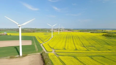 Stock Footage Wind Farm In Summer Live Wallpaper - Free Live Wallpaper