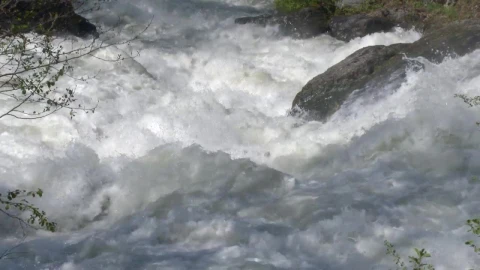Stock Footage Wild River Rapids Live Wallpaper - Free Live Wallpaper