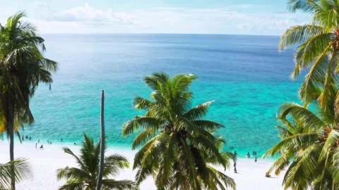 Stock Footage White Sand Paradise Beach Live Wallpaper - Free Live Wallpaper
