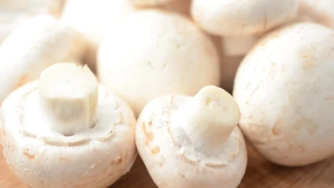 Stock Footage White Mushrooms In Detail Live Wallpaper - Free Live Wallpaper