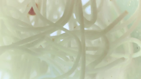 Stock Footage White Bacteria In Liquid Live Wallpaper - Free Live Wallpaper
