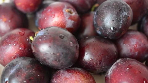 Stock Footage Wet Plums Texture Live Wallpaper - Free Live Wallpaper