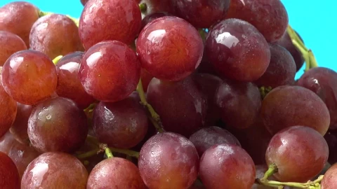Stock Footage Wet Grapes Texture Spinning Shot Live Wallpaper - Free Live Wallpaper