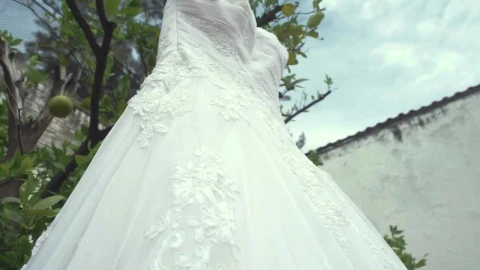 Stock Footage Wedding Dress Hanging On A Tree Live Wallpaper - Free Live Wallpaper
