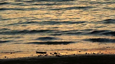 Stock Footage Waves Reflecting A Calm Sunset Live Wallpaper - Free Live Wallpaper
