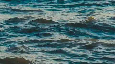 Stock Footage Waves In The Water Live Wallpaper - Free Live Wallpaper