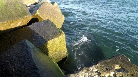 Stock Footage Waves Crashing At The Breakwater Live Wallpaper - Free Live Wallpaper