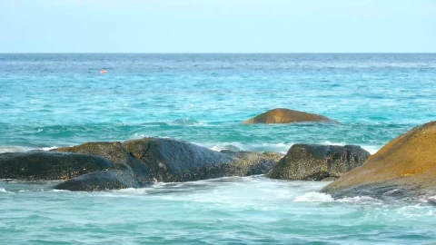 Stock Footage Waves Covering The Rocks Live Wallpaper - Free Live Wallpaper