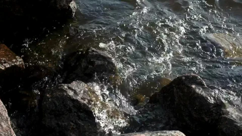 Stock Footage Waves Breaking Over Harbor Rocks Live Wallpaper - Free Live Wallpaper
