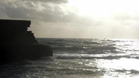Stock Footage Waves Breaking As Birds Fly Over Live Wallpaper - Free Live Wallpaper