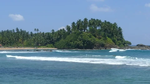 Stock Footage Waves Arriving At A Tropical Beach Live Wallpaper - Free Live Wallpaper