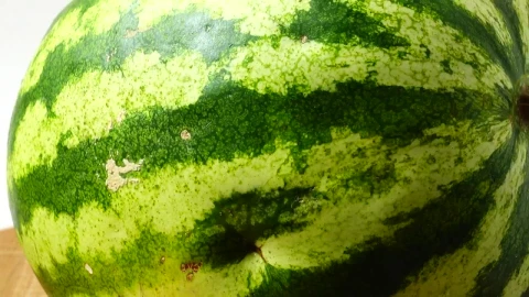 Stock Footage Watermelon Spinning Live Wallpaper - Free Live Wallpaper