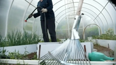 Stock Footage Watering The Plant With A Hose In The Greenhouse Live Wallpaper - Free Live Wallpaper