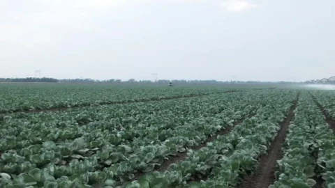 Stock Footage Watering Large Crop Fields Smalllive Wallpaper - Free Live Wallpaper